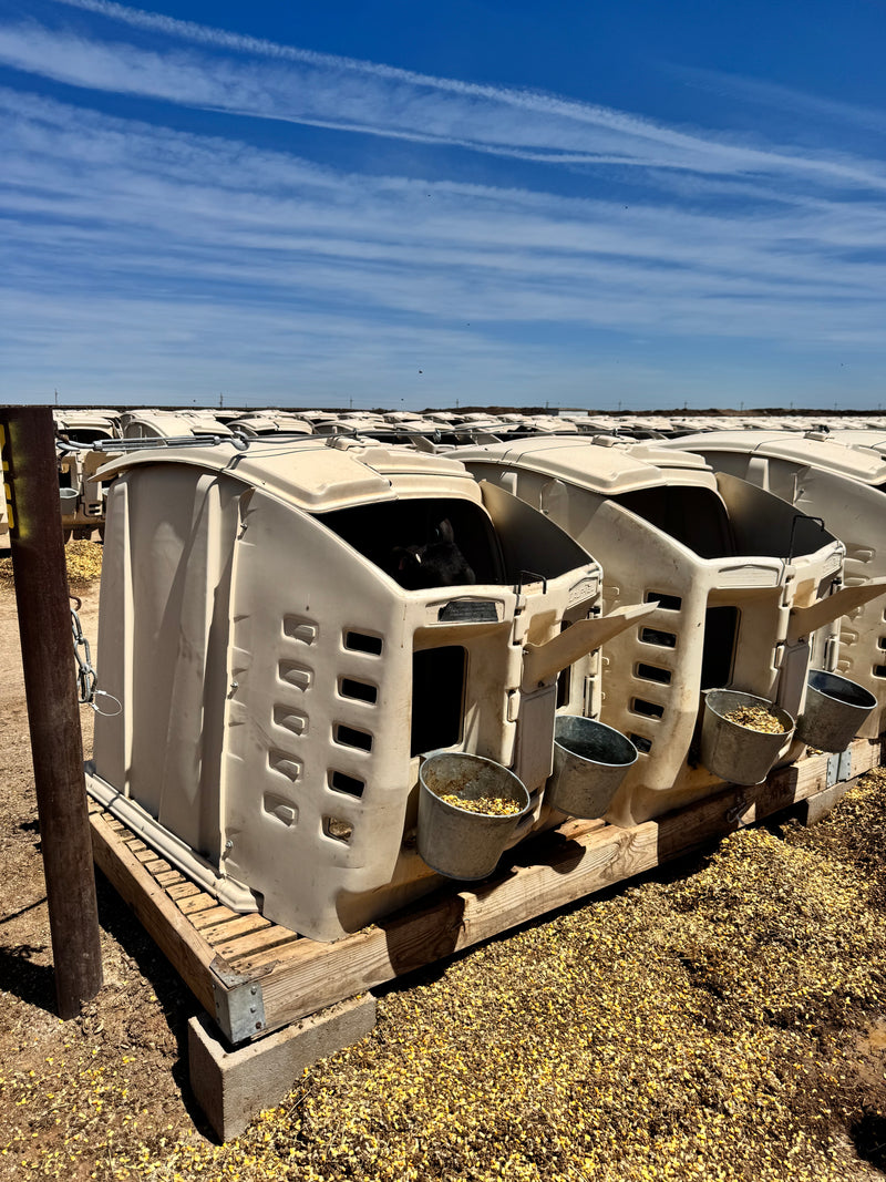 #DD2737 - CalfTel California Style Hutches- NM