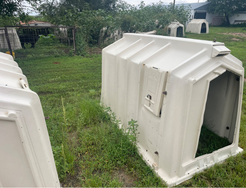 #DD2883 - Calf Tel Hutches- NE