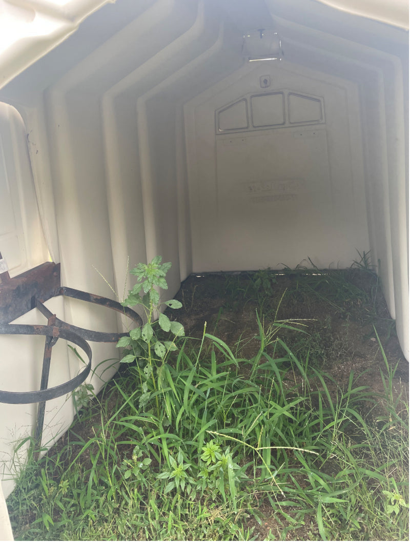 #DD2883 - Calf Tel Hutches- NE