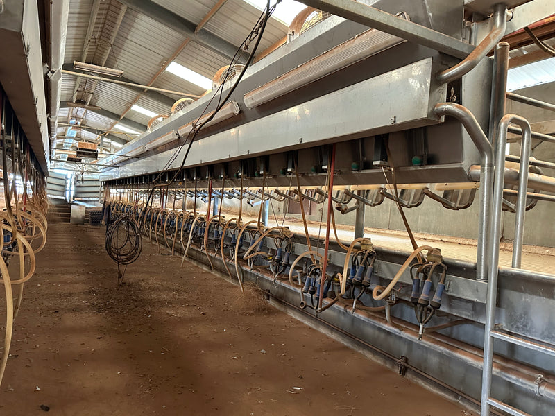 #DD2272 - PBI Complete Double 30 Parallel Parlor - Texas