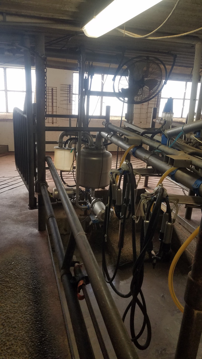 #DD1986 - DairyMaster Swingline 30 Parlor System