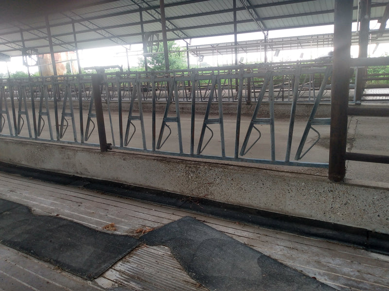 #DD2135 - Albers 5x10 Stanchions - TX
