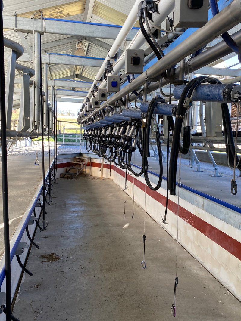 #DD2077 - DeLaval Double 14 Parabone Swing Parlor