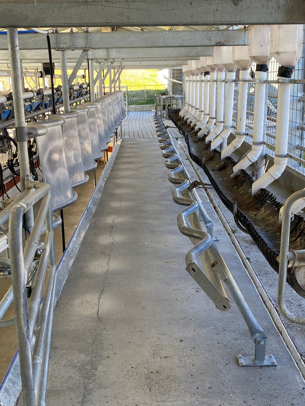 #DD2077 - DeLaval Double 14 Parabone Swing Parlor