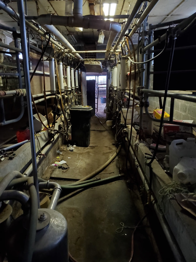 #DD1984 - Double 6 Milking Parlor and all equipment