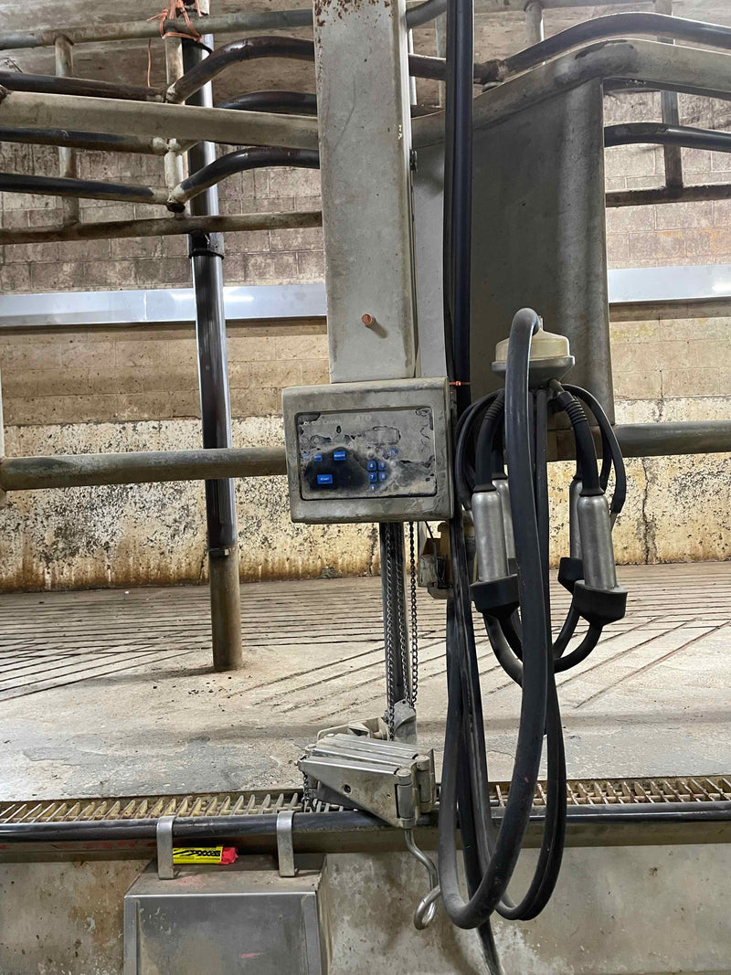 #DD2099 - Delaval Blue Diamond Rapid Exit Herringbone double 10 - WA