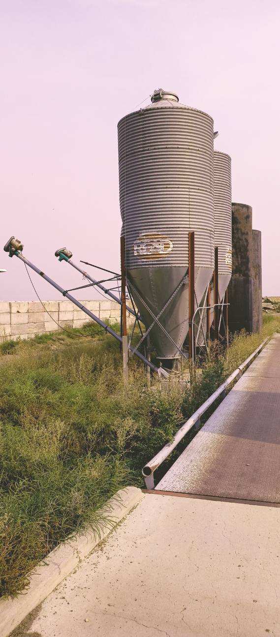 #DD1945 - Grain Bins