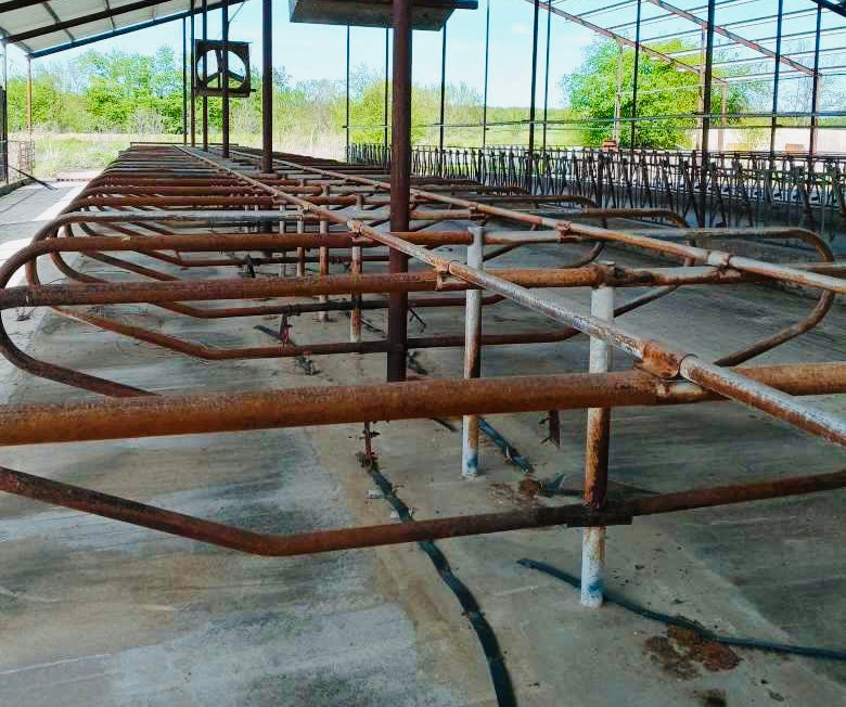 Freestall Loops For Sale In Texas DairyDealer Dairy Dealer LLC Freestall Loops For Sale In Texas DairyDealer Dairy Dealer LLC